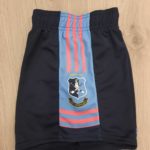 Nenagh Eire Og Camogie Crested Club Shorts Navy Pink/Sky - Image 2