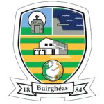 Burgess GAA O'Neills Training VEST Black/Green/Amber (Kids / Adults) - Image 2