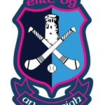  Nenagh Éire Óg Camogie  O’Neills Focus Brush Half Zip Top Sky Blue  (Kids/Adults) - Image 2
