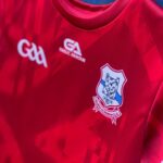Shannon Rovers GAA Gaelic Armour Training Jersey Red White (Kids Adults) - Image 5