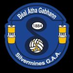 Silvermines GAA O'Neills Synergy  Shorts Marine Navy (Kids / Adults) - Image 6