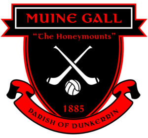 Moneygall GAA Match Jersey Replica (Kids/Adults) - Age 9-10