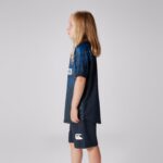 Canterbury British & Irish Lions Super Light Tee Shirt (Kids) - Image 4