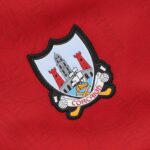 O’Neills Cork GAA Home Jersey 2025 (Adults/Kids) - Image 4