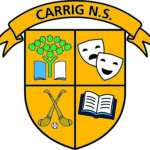 Carrig NS (Birr) Half Zip School Uniform Half Zip Top Navy Royal White - Image 3