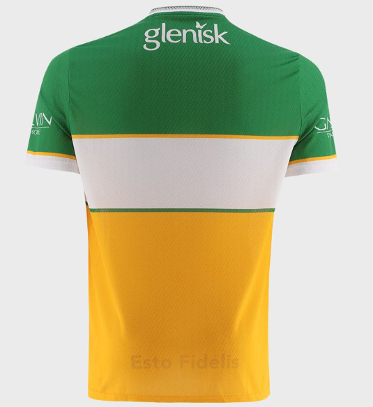 O'Neills Offaly GAA Home Jersey 2026 (Kids/Adult) - Image 6