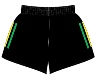 O'Neills Toomevara GAA Training Shorts Black/Green/Amber (Kids/Adults) - Image 3
