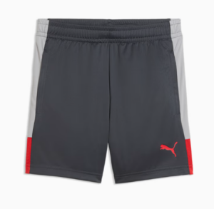 IPUMA IndividualLIGA Football Training Shorts | Grey/Red (Youth / Kids)