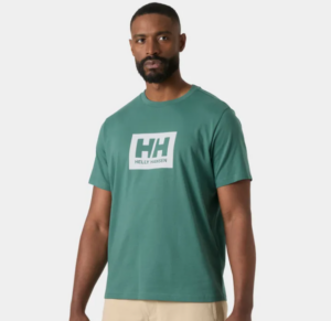 Helly Hansen Box T-shirt 2.0 | Opal Green  (Men's)