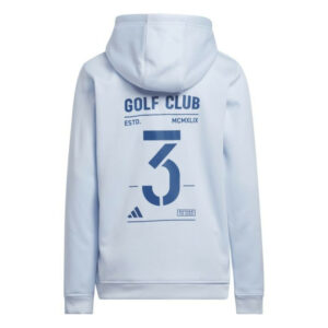 adidas Climawarm Graphie Hoodie / Sweatshirt | Sky Blue (Kid's Unisex)